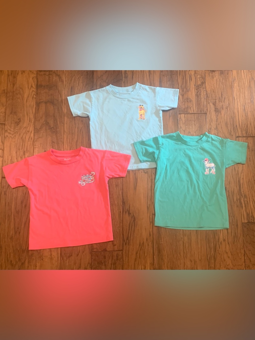 Lot of 3 Kids Short-Sleeve Graphic T-Shirts - Coral, Light Blue, Green